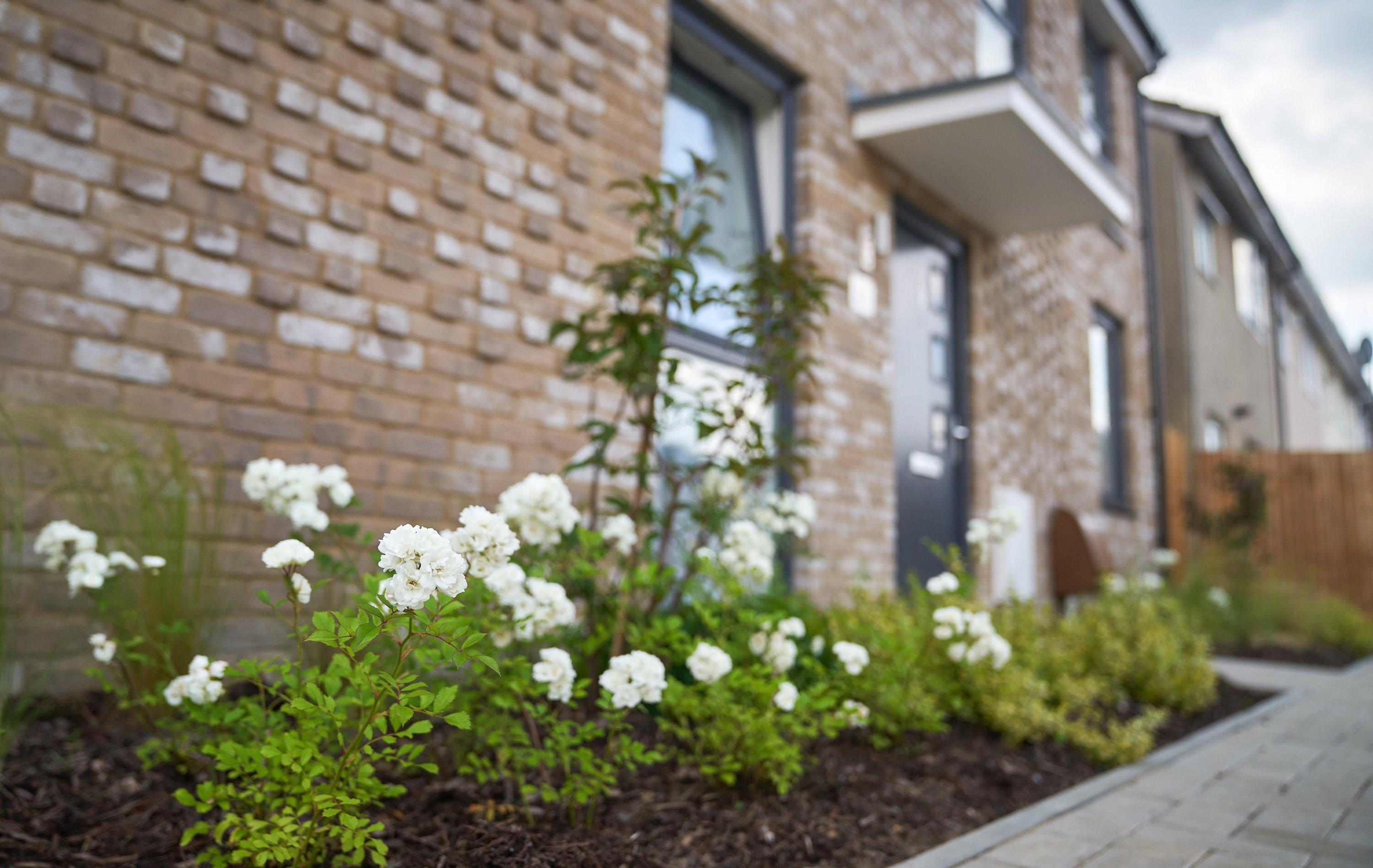 Working in partnership to deliver greener homes