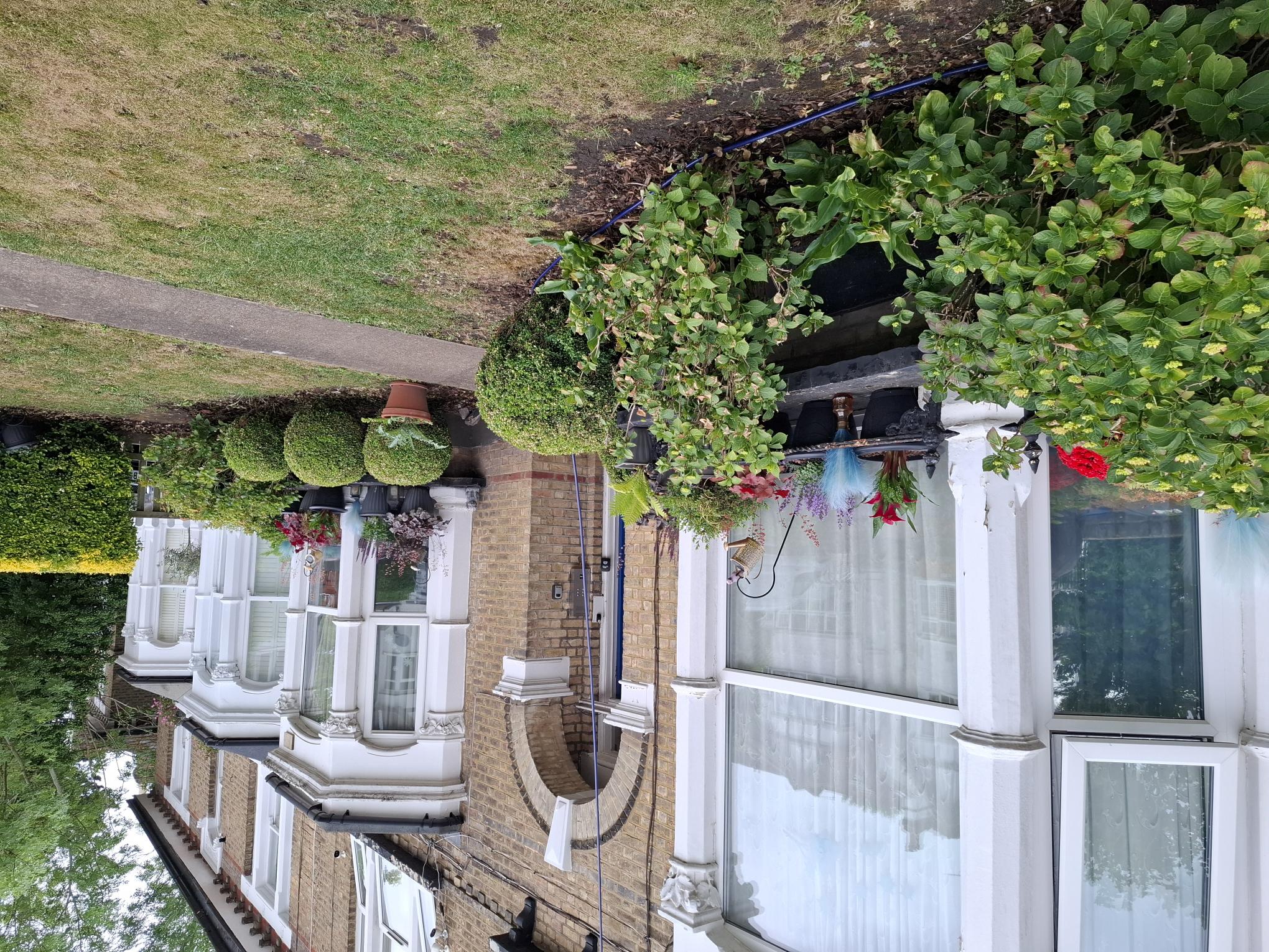 Announcing our gardening competition winners! 
