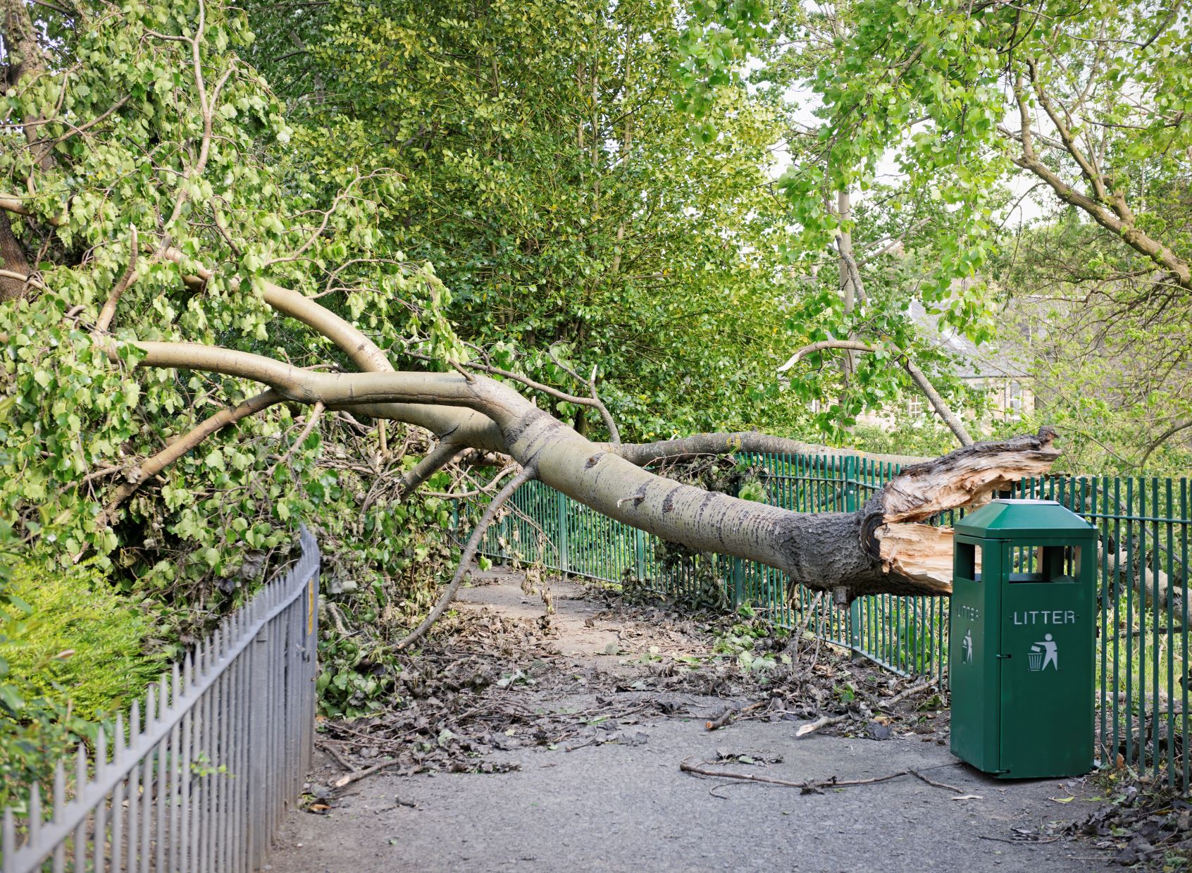 Storm Eunice – Advice for our residents